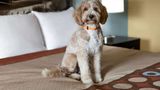 Super 8 Whites Creek/ Nashville NW Area Other