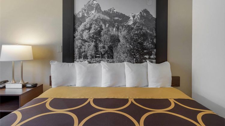 Super 8 Cody Suite