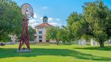 <b>Super 8 Las Cruces/La Posada Lane Other</b>. Images powered by <a href="https://iceportal.shijigroup.com/" title="IcePortal" target="_blank">IcePortal</a>.