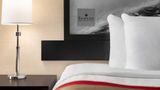 Ramada by Wyndham Niagara Fallsview Room