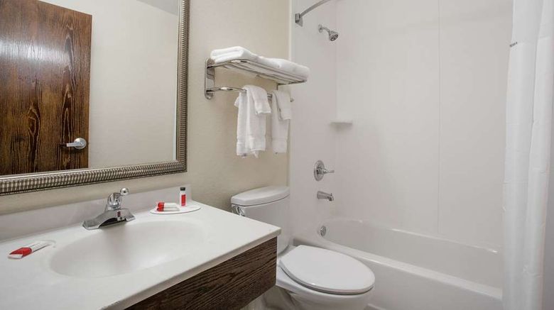 <b>Super 8 College Park/Wash DC Area Room</b>. Images powered by <a href="https://iceportal.shijigroup.com/" title="IcePortal" target="_blank">IcePortal</a>.