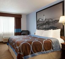 Super 8 Portland/Westbrook Area Room
