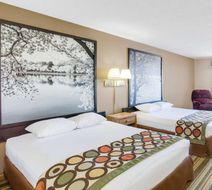 Super 8 Mitchell Room
