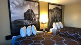 <b>Super 8 Carson City Room</b>. Images powered by <a href="https://iceportal.shijigroup.com/" title="IcePortal" target="_blank">IcePortal</a>.