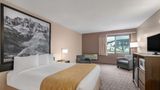 <b>Super 8 Sturgis Room</b>. Images powered by <a href="https://iceportal.shijigroup.com/" title="IcePortal" target="_blank">IcePortal</a>.