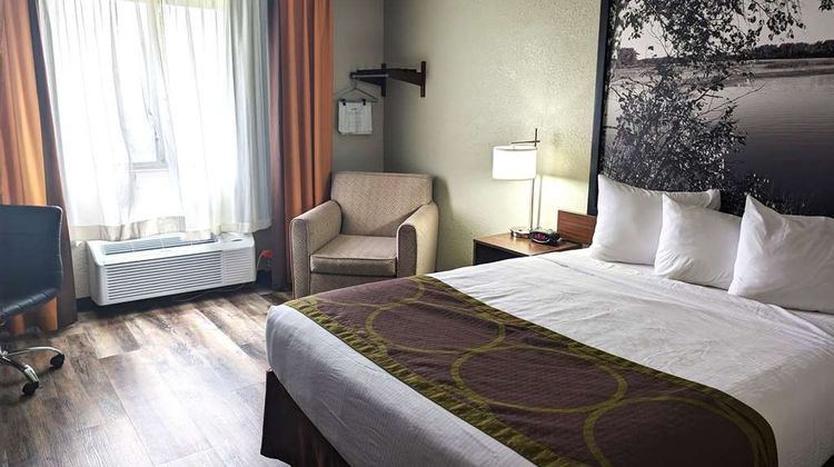 Super 8 Alexandria Room