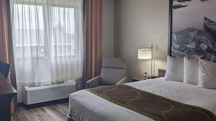 Super 8 Alexandria Room