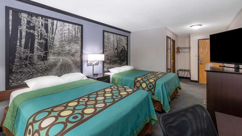 <b>Super 8 Duluth Room</b>. Images powered by <a href="https://iceportal.shijigroup.com/" title="IcePortal" target="_blank">IcePortal</a>.