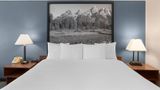 Super 8 Jackson Hole Room