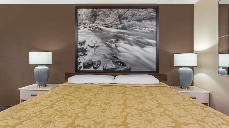 <b>Super 8 Shelton Room</b>. Images powered by <a href="https://iceportal.shijigroup.com/" title="IcePortal" target="_blank">IcePortal</a>.