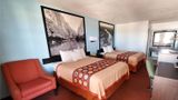Super 8 Van Horn Room
