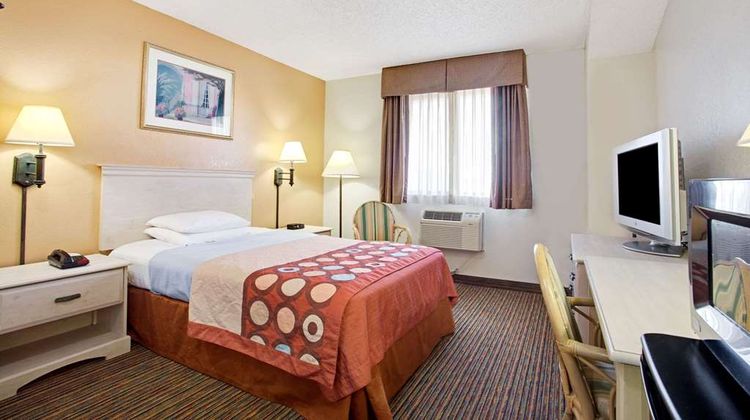 Super 8 Clearwater/St.Petersburg Airport Room