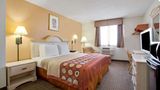 Super 8 Clearwater/St.Petersburg Airport Room