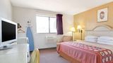 Super 8 Clearwater/St.Petersburg Airport Room