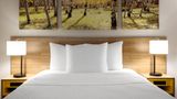 <b>Days Inn Worland Room</b>. Images powered by <a href="https://iceportal.shijigroup.com/" title="IcePortal" target="_blank">IcePortal</a>.