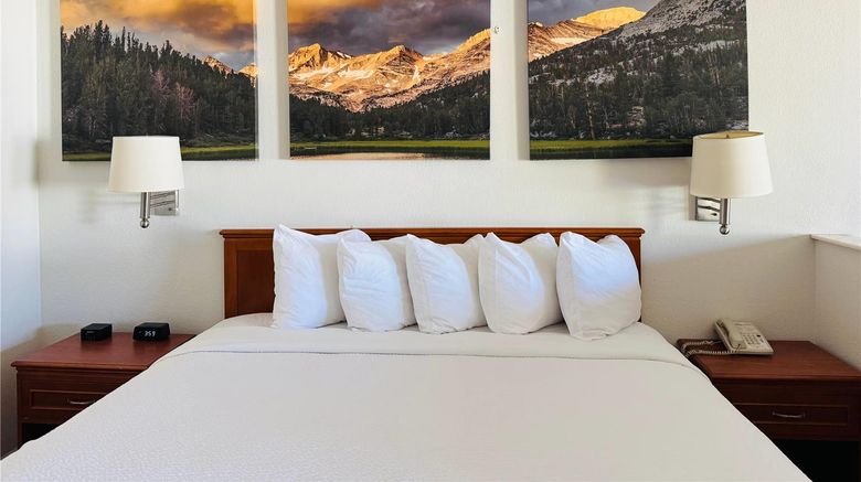 <b>Days Inn Bishop Room</b>. Images powered by <a href="https://iceportal.shijigroup.com/" title="IcePortal" target="_blank">IcePortal</a>.