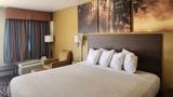 <b>Days Inn Leesville Room</b>. Images powered by <a href="https://iceportal.shijigroup.com/" title="IcePortal" target="_blank">IcePortal</a>.