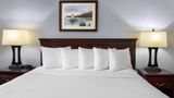 Days Inn Iron Mountain Room