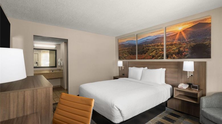 <b>Days Inn Canton Room</b>. Images powered by <a href="https://iceportal.shijigroup.com/" title="IcePortal" target="_blank">IcePortal</a>.