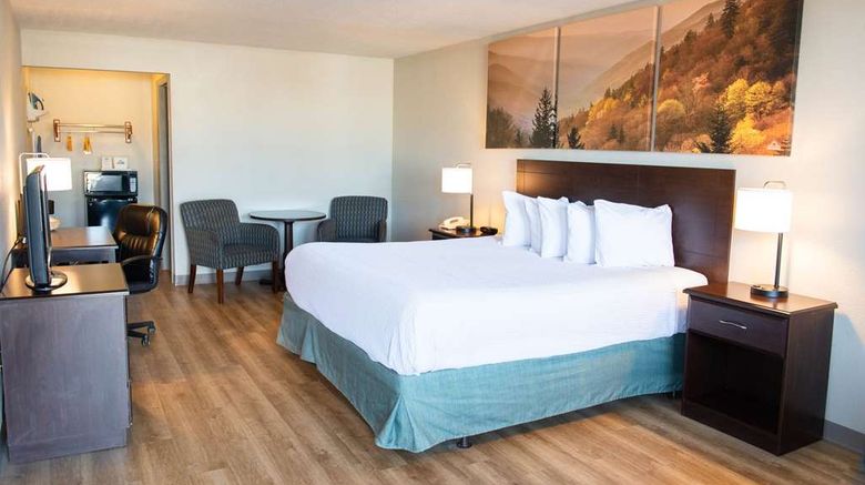 <b>Days Inn Waynesboro Room</b>. Images powered by <a href="https://iceportal.shijigroup.com/" title="IcePortal" target="_blank">IcePortal</a>.
