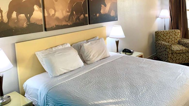 <b>Days Inn Canton Room</b>. Images powered by <a href="https://iceportal.shijigroup.com/" title="IcePortal" target="_blank">IcePortal</a>.