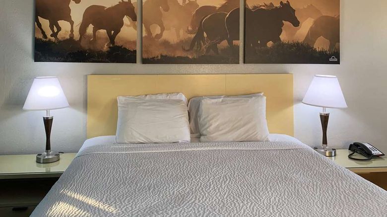 <b>Days Inn Canton Room</b>. Images powered by <a href="https://iceportal.shijigroup.com/" title="IcePortal" target="_blank">IcePortal</a>.