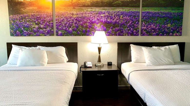 <b>Days Inn Canton Room</b>. Images powered by <a href="https://iceportal.shijigroup.com/" title="IcePortal" target="_blank">IcePortal</a>.