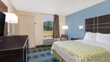 <b>Days Inn Newberry Room</b>. Images powered by <a href="https://iceportal.shijigroup.com/" title="IcePortal" target="_blank">IcePortal</a>.