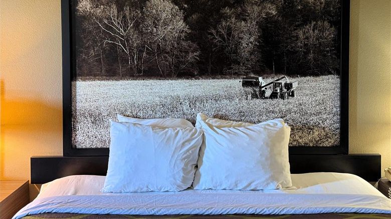 <b>Super 8 Gas City Marion Area Room</b>. Images powered by <a href="https://iceportal.shijigroup.com/" title="IcePortal" target="_blank">IcePortal</a>.