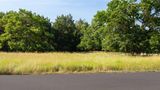 Baymont by Wyndham Manistee Other