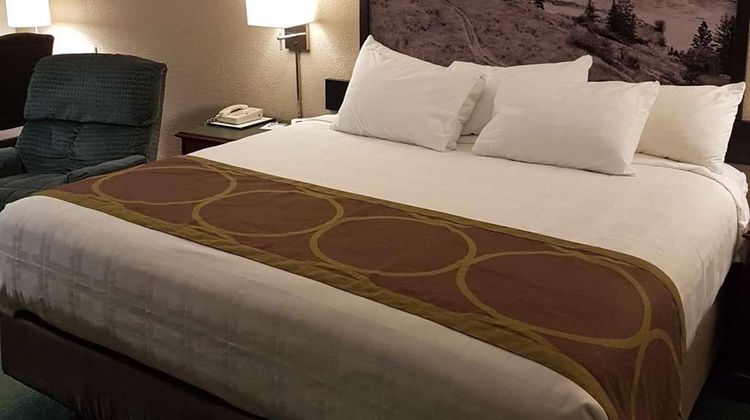 Super 8 100 Mile House Room