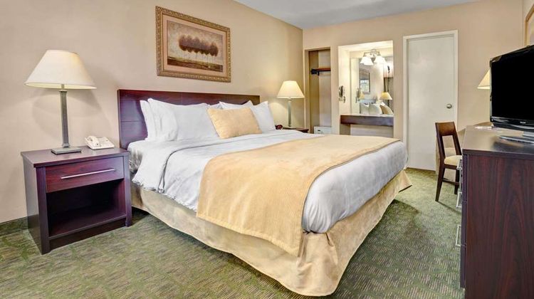 Travelodge at the Presidio San Francisco Room