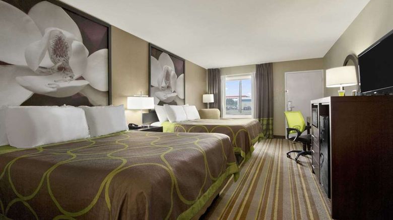 <b>Super 8 Tupelo Airport Room</b>. Images powered by <a href="https://iceportal.shijigroup.com/" title="IcePortal" target="_blank">IcePortal</a>.