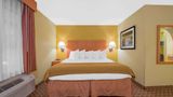 <b>Days Inn Lubbock South Room</b>. Images powered by <a href="https://iceportal.shijigroup.com/" title="IcePortal" target="_blank">IcePortal</a>.