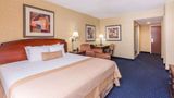 Wingate by Wyndham Greenville Airport Room