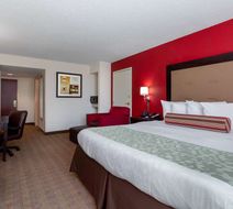Wingate by Wyndham Macon Room