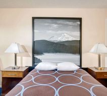 Super 8 Alturas Room