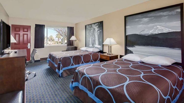 Super 8 Alturas Room