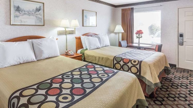 Super 8 Ashburn Room
