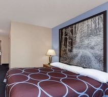 Super 8 Adrian Room