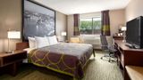 Super 8 Hanover Room