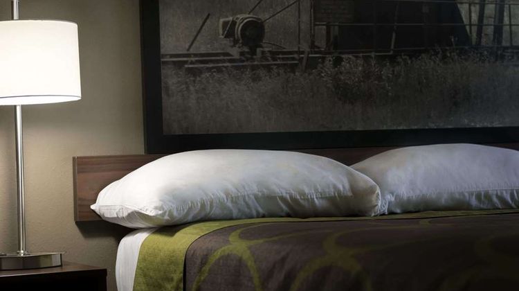 Super 8 Ardmore Room