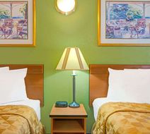 Travelodge Sacramento / Rancho Cordova Room