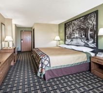 Super 8 Greenville Room