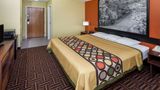 <b>Super 8 Rochester Room</b>. Images powered by <a href="https://iceportal.shijigroup.com/" title="IcePortal" target="_blank">IcePortal</a>.