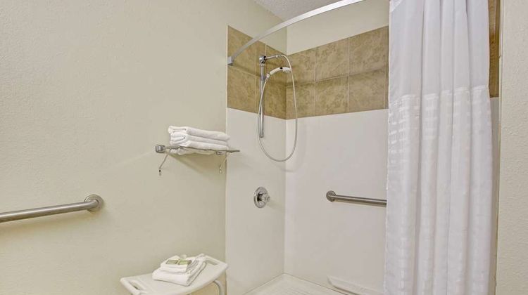 Super 8 Shelby Room
