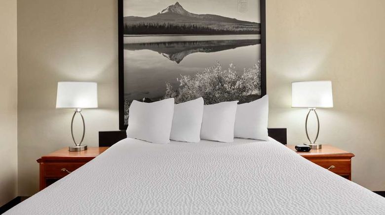 <b>Super 8 Roseburg Room</b>. Images powered by <a href="https://iceportal.shijigroup.com/" title="IcePortal" target="_blank">IcePortal</a>.