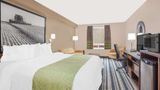 <b>Super 8 Brandon Room</b>. Images powered by <a href="https://iceportal.shijigroup.com/" title="IcePortal" target="_blank">IcePortal</a>.
