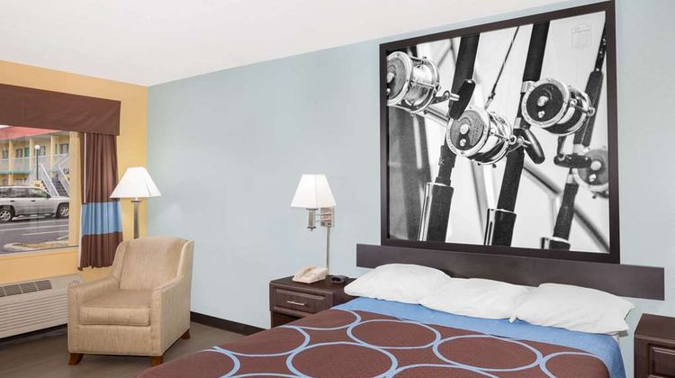 Super 8 Sarasota/Bradenton Area Room