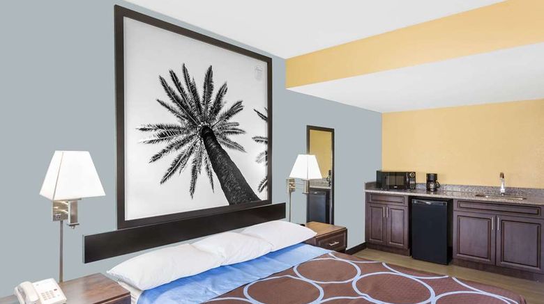 <b>Super 8 Sarasota/Bradenton Area Room</b>. Images powered by <a href="https://iceportal.shijigroup.com/" title="IcePortal" target="_blank">IcePortal</a>.
